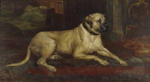 A Lyme Mastiff 'lion' In The Entrance Hall At Lyme — John Trivett Nettleship