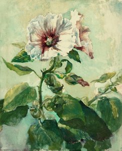 Study Of Pink Hollyhocks In Sunlight, From Nature — John La Farge