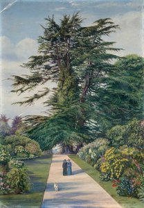 Cedar Path, Alderley Garden, Gloucestershire — Marianne North