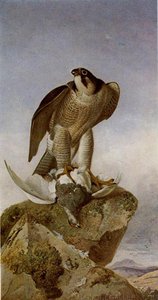 Falcon With A Ptarmigan — Richard Ansdell