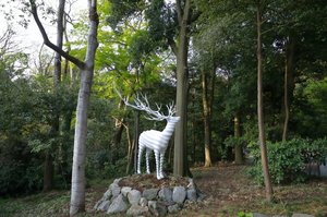 White Deer (meiji Jingu) — Kohei Nawa