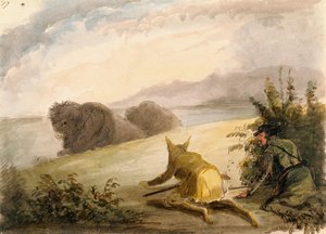 Approaching Buffalo Under The Disguise Of A Wolf — Alfred Jacob Miller