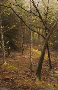 In A Wood In May — John Stewart