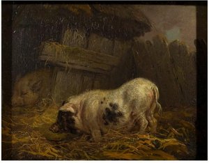 A Chinese Sow — James Ward