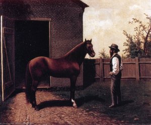 Dt. Diehl And Morgan Horse In Louisville Kentucky — William Aiken Walker