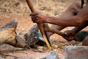 Sharpening The Wood — Tessa Barlin