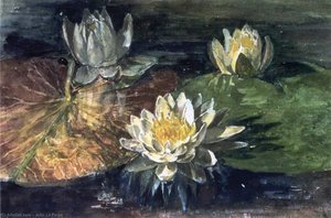 Water-lilies, Red And Green Pads — John La Farge
