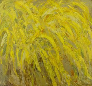 Yellow Spray — Richard Robbins