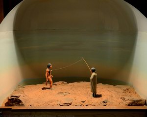 Vision Seeking — Allan Capron Houser