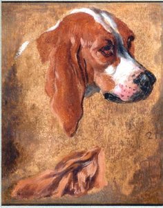Gueule Et Oreille De Chien De Meute — Alexandre François Desportes