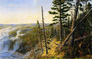 Pack Ox In The Mountains — William George Richardson Hind