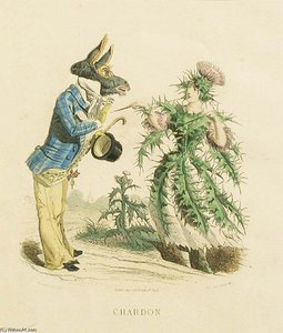 Thistle — Jean Jacques Grandville