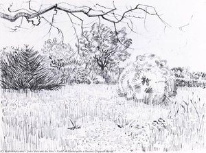 Field Of Grass With A Round Clipped Shrub — Joos Vincent De Vos