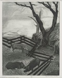 Siesta — Dorothy Rutka