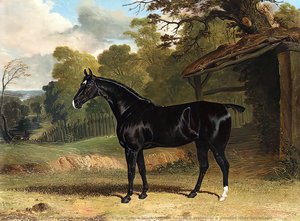 Black Tom, A Black Hunter, Beside A Stable, In A Wooded River Landscape — John Frederick Herring Förste