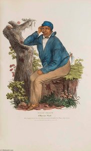 Billy Shane A Shawnee Chief, From The Aboriginal Portfolio — James Otto Lewis