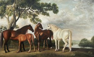 Untitled — George Stubbs