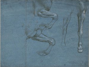 Studi Delle Zampe Anteriori Del Cavallo, C. 1490 (punta Metallica E Lumeggiature Di Biacca Su Carta Preparata Azzurra) — Leonardo Da Vinci E Andrea Del Verrocchio