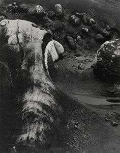 Sandstone Lobos, Returning Wave — Minor White