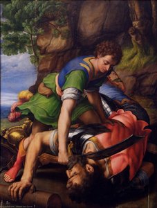 David And Goliath — Michiel Van Coxcie