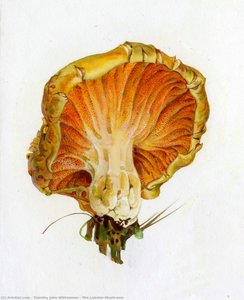 The Lobster Mushroom — Timothy John Williamson