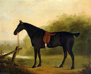 A Saddled Black Hunter In A Landscape — Clifton Tomson