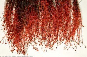 Draupadi’s Vow — Sheela Gowda