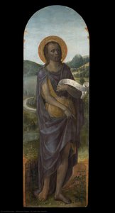 St. John The Baptist — Vincenzo Foppa