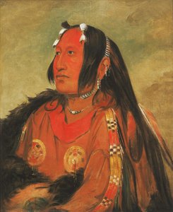 Wi-jún-jon, Taube — George Catlin