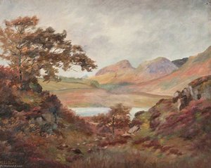 Dumgoyne, Milngavie — Robert Lillie