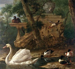 Birds In A Garden — Melchior De Hondecoetter