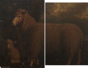 Old Lincoln Ewe And Lamb (diptych) — William Shiels