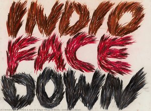 Indio Face Down — Hock E Aye Vi Edgar Heap Of Birds