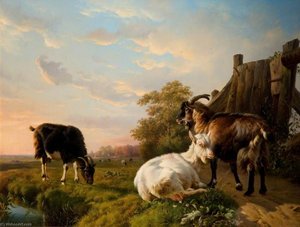 Goats — Ežėn Josė Just Verbokhovenas