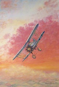 Biplane With Raf Markings — Robert Morley