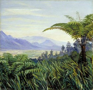 Tree Fern In The Preanger Mountains, Java — Marianne North