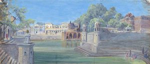 Grande Bacino A Govardhan, Delhi, India — Marianne North