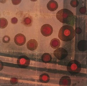 Lotophagie (ciclo) — Luca Caccioni