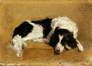 Lying Hound Dog — Friedrich Ritter Von Amerling