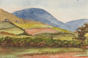 Hills East Of Michael, Slieau Freoaghane And Surroundings — جورجينا غور كوري