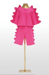 Dinosaur Pants And Jacket Iv — Águeda Isabel Ruiz De La Prada Y Sentmenat