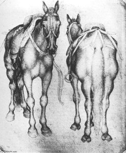 Horses. Pen On Paper. 20 X 16.5 Cm. Louvre Museum, Paris — Pisanello