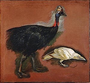 Casoar Et Corbeau Blanc — Boel Pieter (boule)