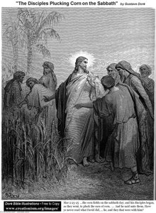 I Discepoli Che Raccolgono Grani Nel Sabato — Paul Gustave Doré