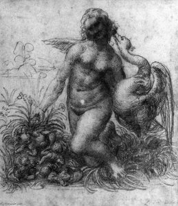 Leda Et Le Cygne — Léonard De Vinci