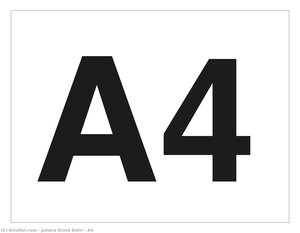 A4 — Juliana Scotá Stein