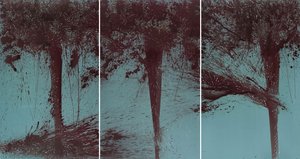 Midnight Garden — Imran Qureshi