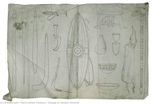 Voyage Au Soudan Oriental — Pierre-victor Trémaux