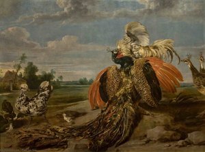 Peacock And Cock Fighting — Paul De Vos