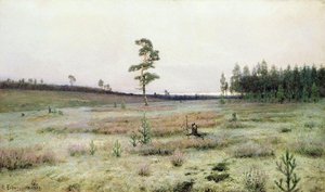 The Moss — Ivan Endogurov